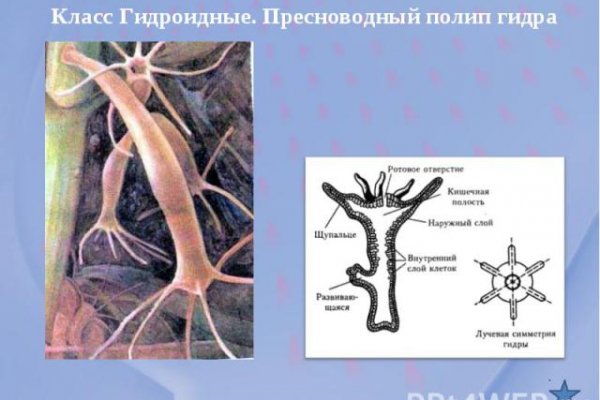 Ссылка адрес на кракен тор