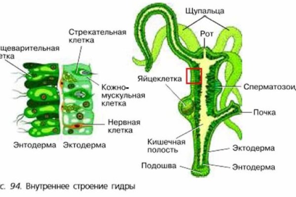 Не приходят деньги на кракен